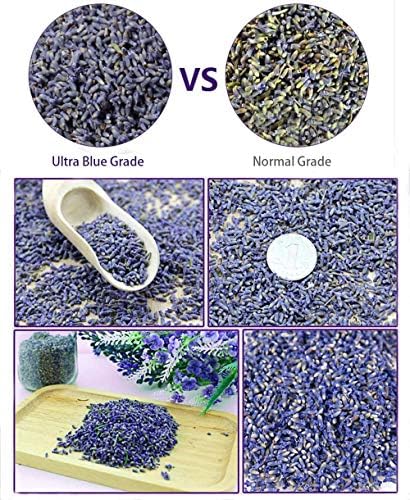 TooGet Lavender Sachet Bags Natural Ultra Blue Lavender Buds for Home Fragrance and Room Decor - Pack of 6