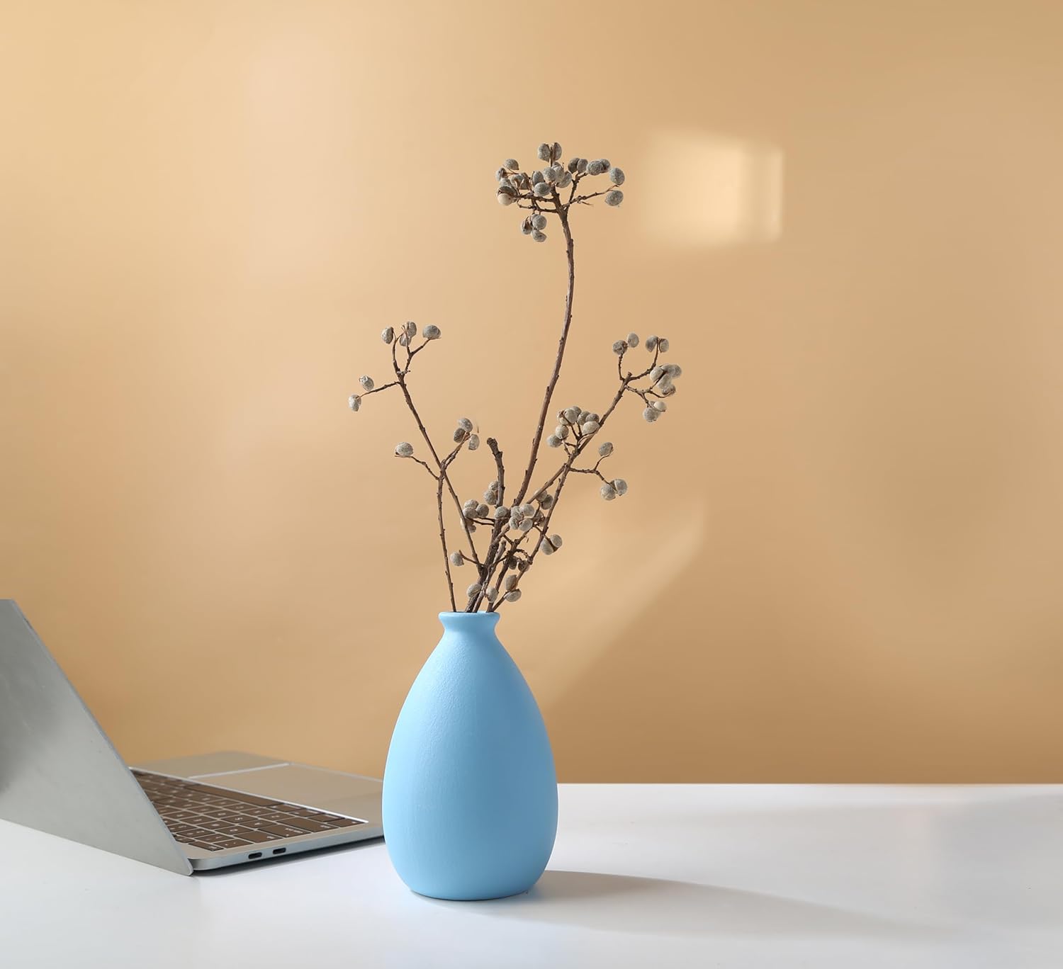 Modern Ceramic White Dry Vase for Home Decor