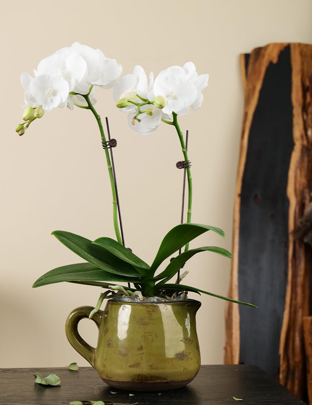 Ceramic Vase with Handle for Home Decor