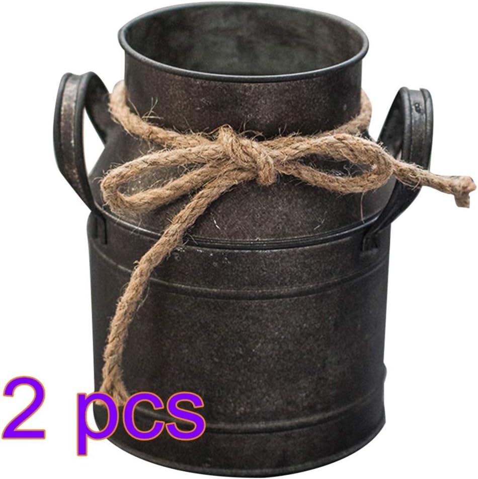 Hemoton 2 Pcs Shabby Chic Flower Vase Metal Pitcher Vase