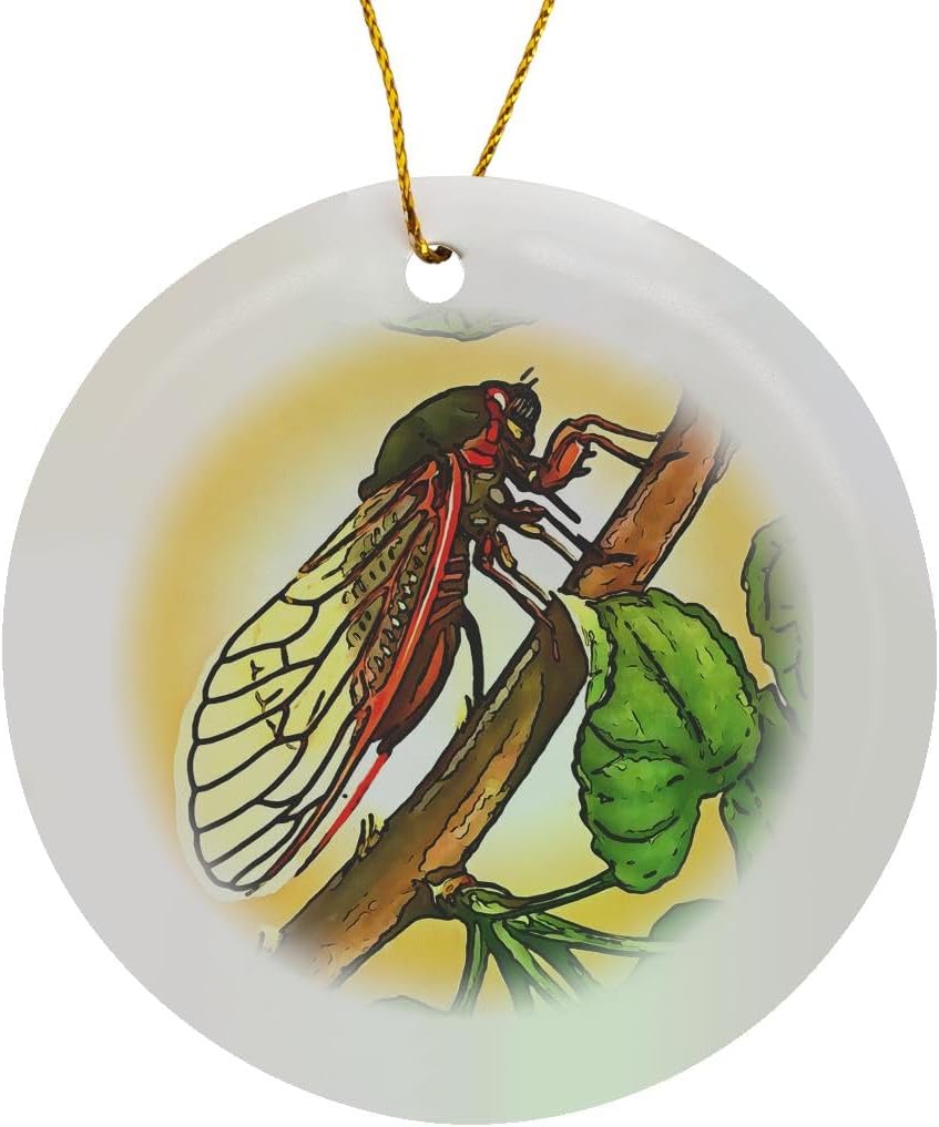 3dRose Circle Porcelain Cicada Ornament