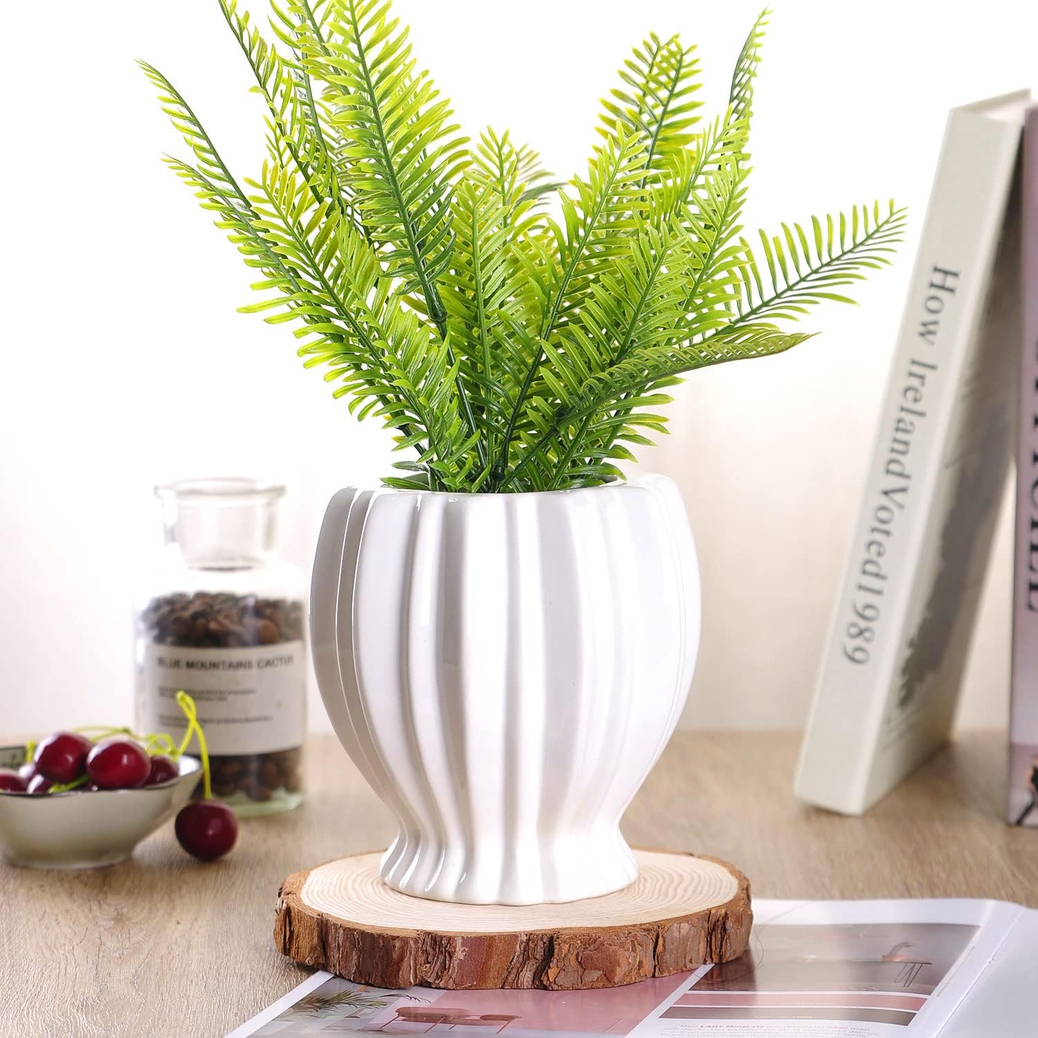 VanEnjoy 6 Inch Modern Ribbed White Ceramic Vase