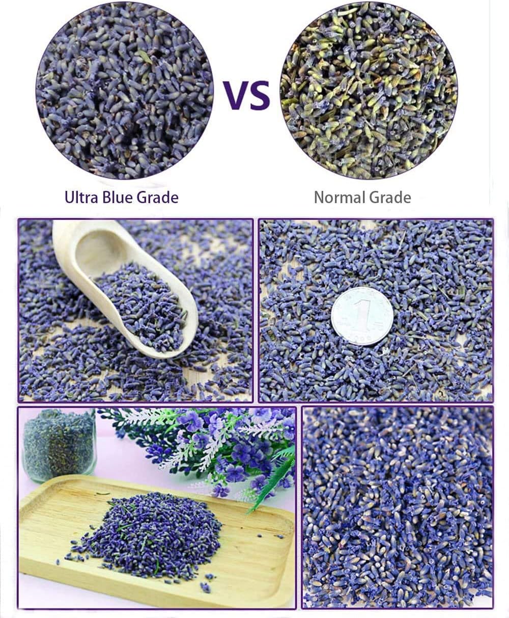 TooGet Lavender Sachet Bags Natural Ultra Blue Lavender Buds for Home Fragrance and Room Decor - Pack of 6