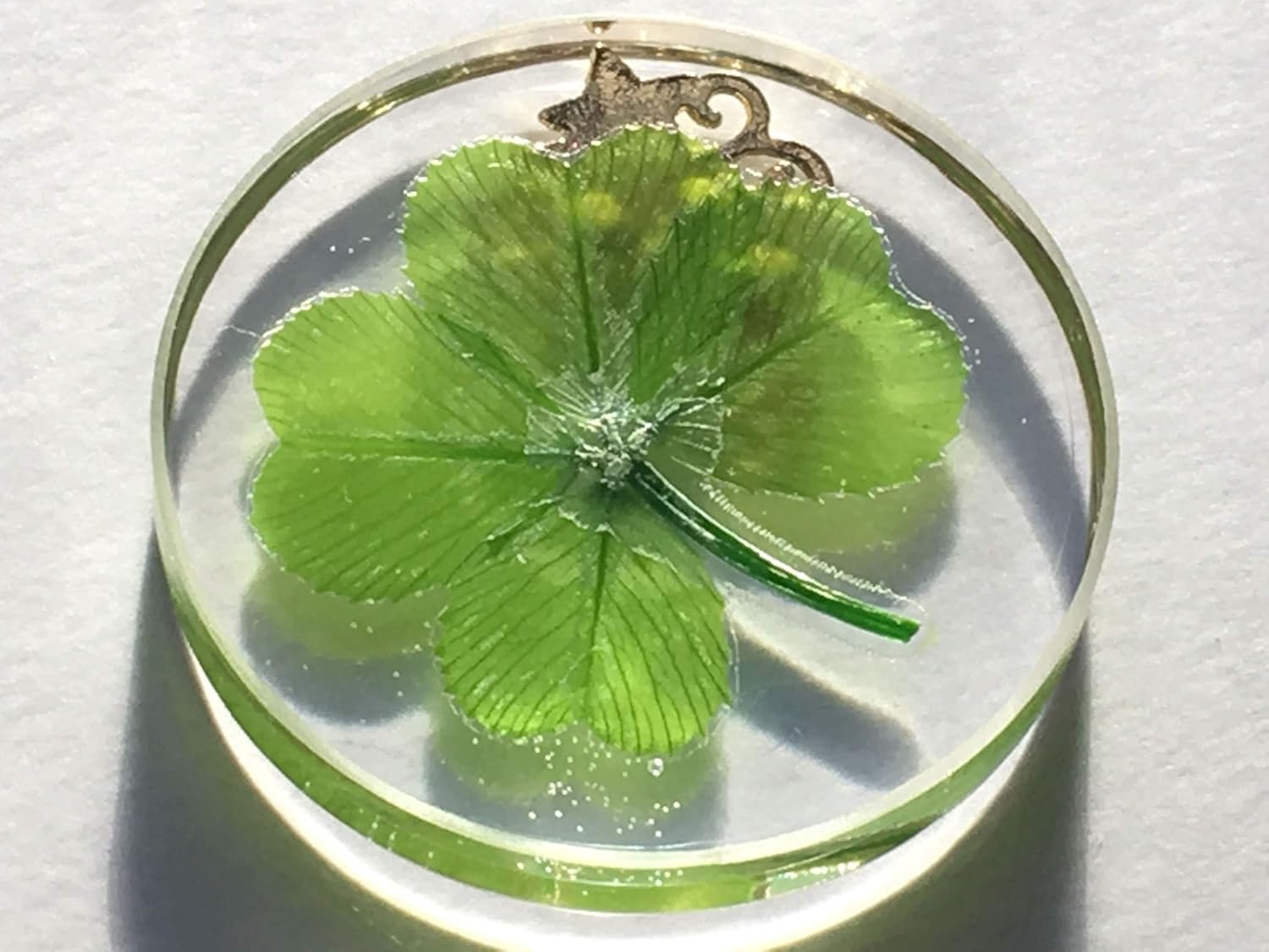 Real Four Leaf Clover Good Luck Pocket Token with Metal Ornament