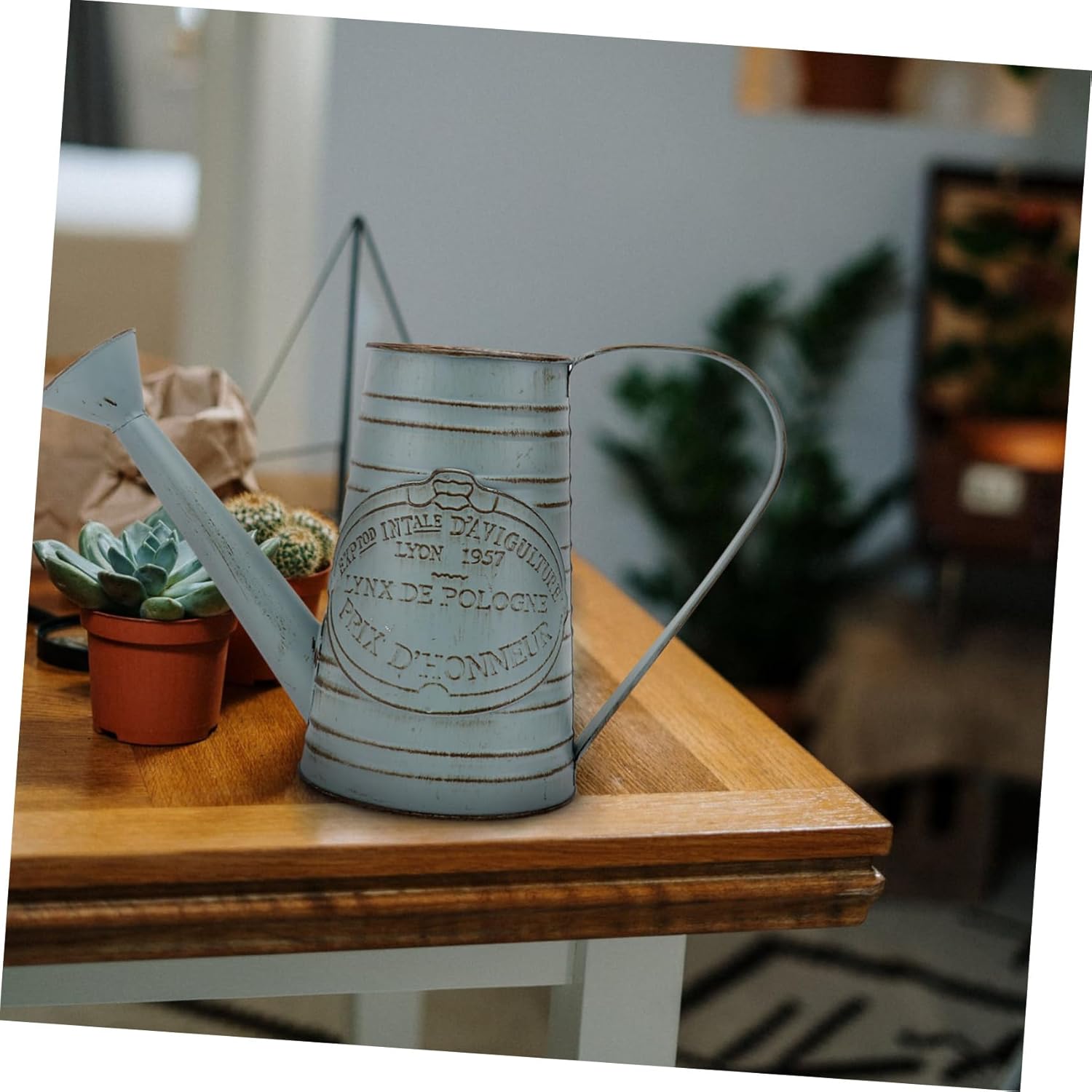 STOBAZA 1pc Antique Iron Flower Bucket Vintage Decor Vase