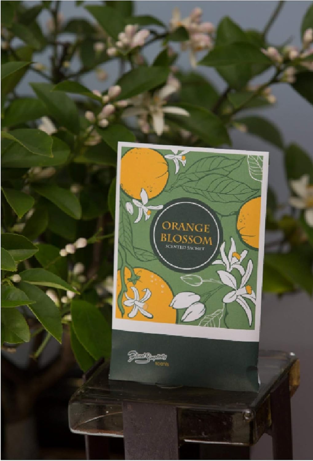 Orange Blossom Scented Sachets Pack of 3 - Home Fragrance