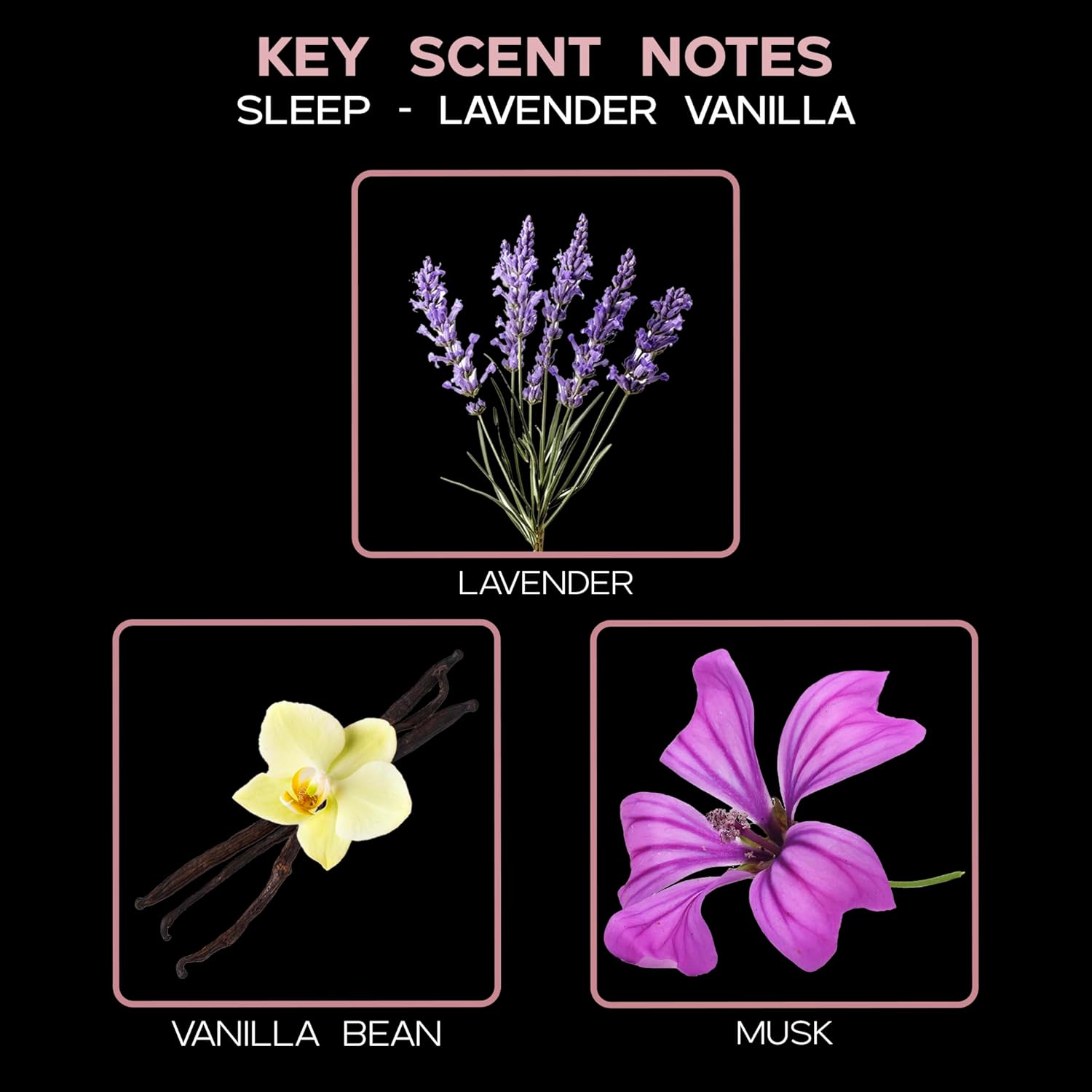 LOVSPA Sleep Lavender Vanilla Reed Diffuser Refill Oil 4 oz