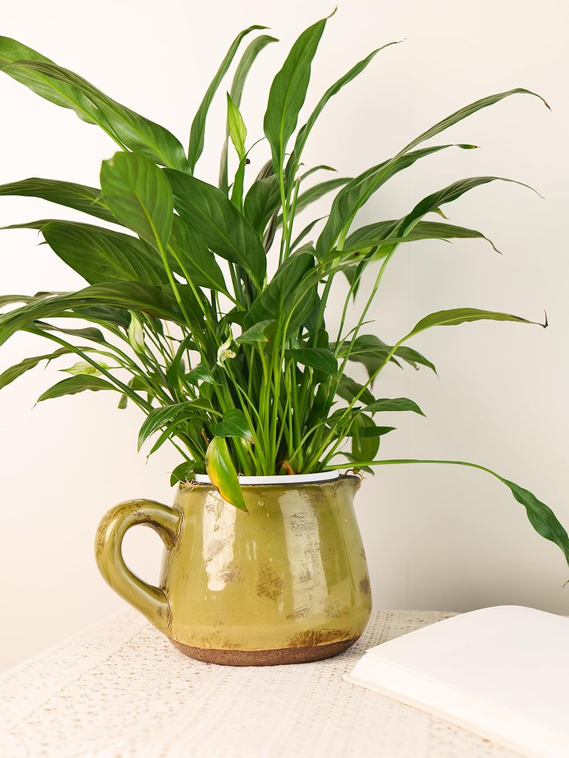 Ceramic Vase with Handle for Home Decor