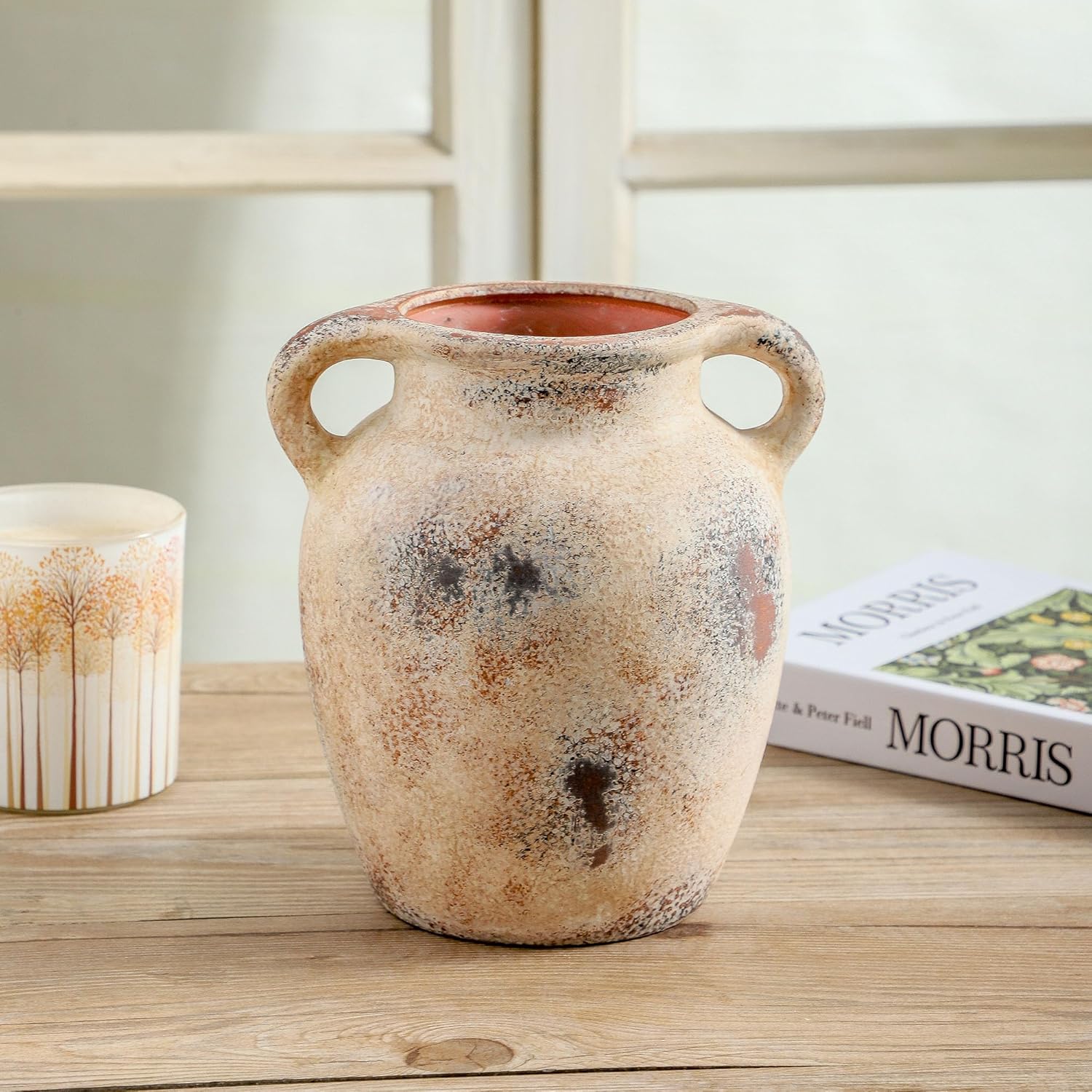 Enra Rustic Farmhouse Vase with Handle 78 Inch