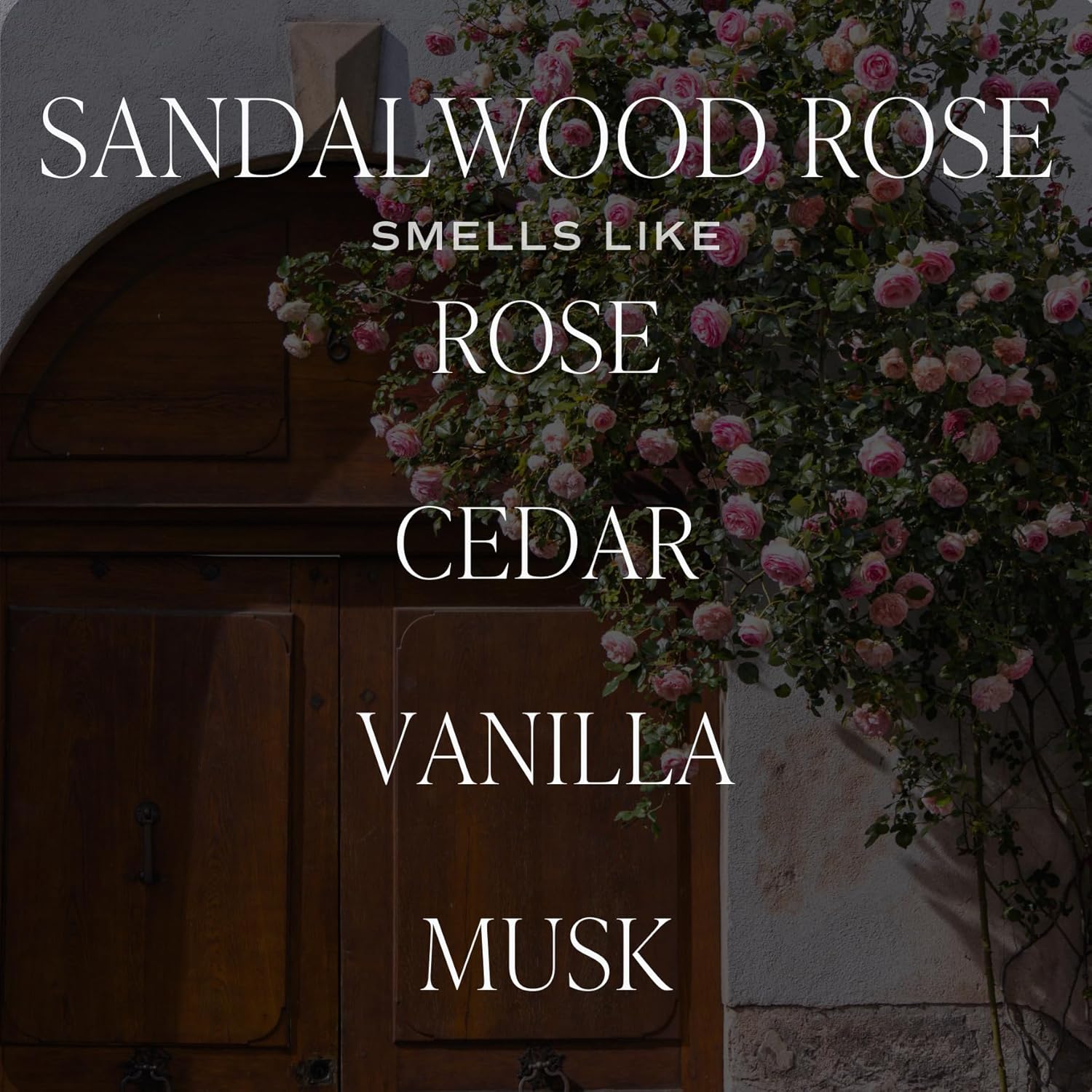 Sweet Water Decor Sandalwood Rose Reed Diffuser Set