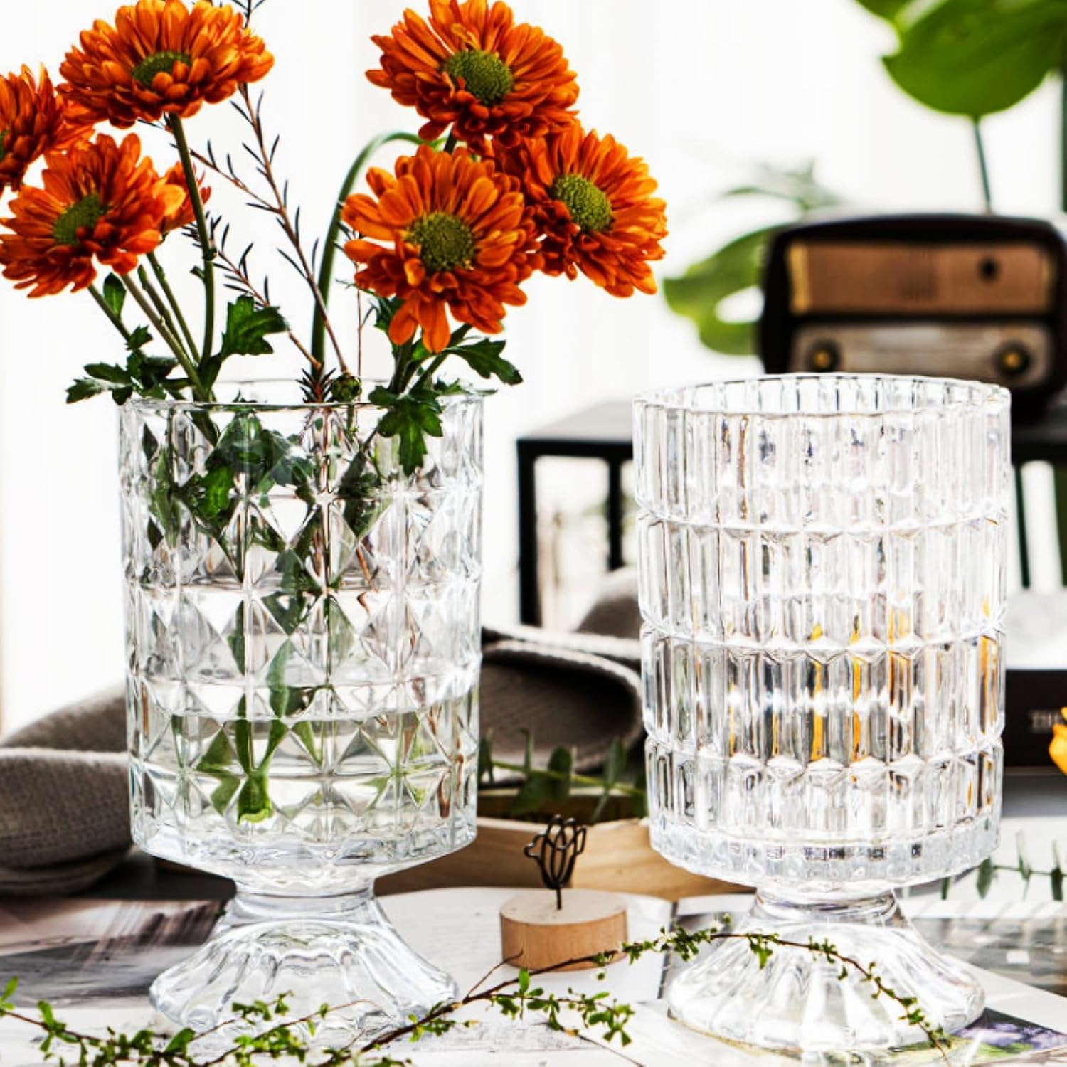 Goaste 3 Pack Embossed Glass Vases with Ribbed Patterns