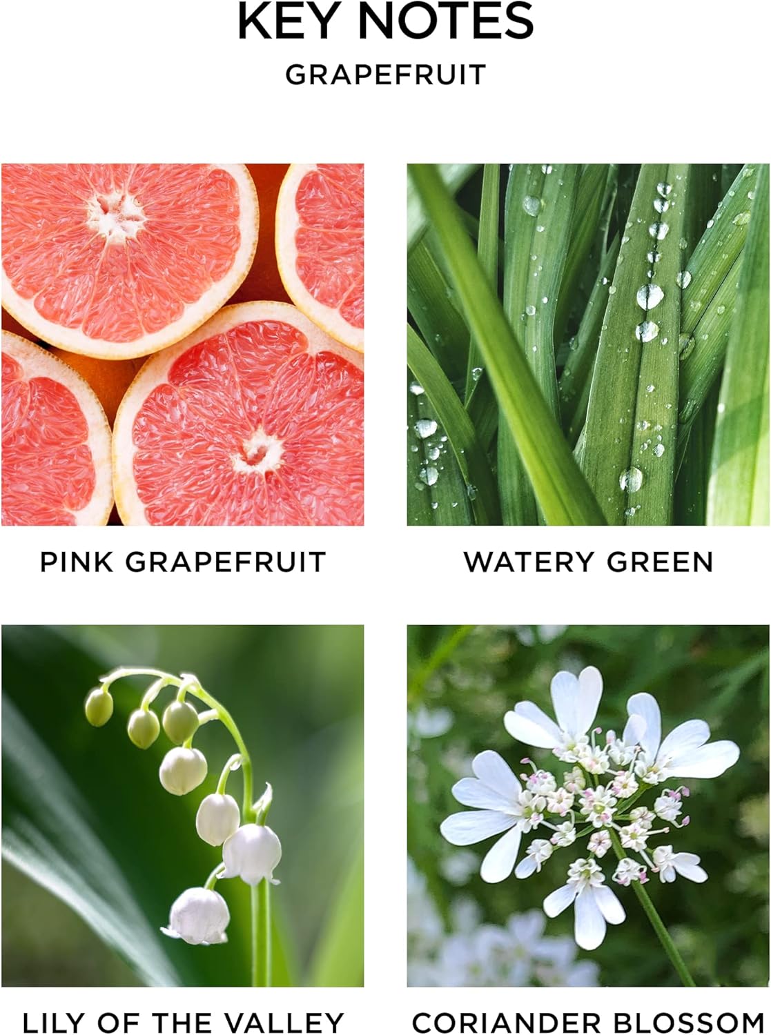 NEST New York Wall Diffuser Refill Vials Set of 2 Grapefruit