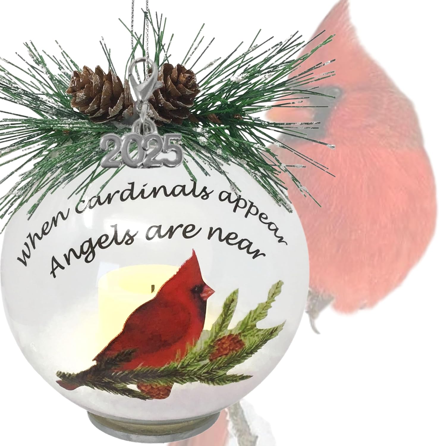 Memorial Lighted Cardinal Christmas Ornament 4D